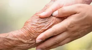 Geriatric Massage Certificate is an online training course that provides you with all the necessary skills to become a Certified Geriatric(Older Adult) Massage Practitioner.